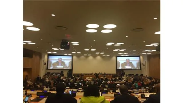 KDP Delegation at the United Nations in New York as guest of SI to gain international support