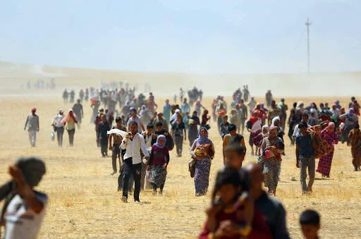 Figures and Statistics on the Yazidi Genocide