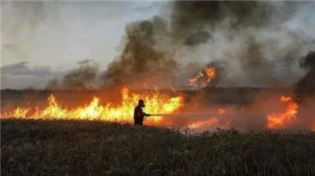 Fire Incident Burns Crops of the Kurdish famer in Tuz Khurmatu